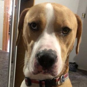 Meet your Posher, Oakley